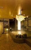 Туры в отель Dormy Inn Premium Shimonoseki Natural Hot Spring