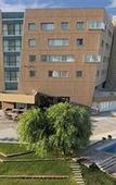 Туры в отель Del Bono Park Hotel Spa & Casino
