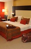Туры в отель Del Bono Park Hotel Spa & Casino