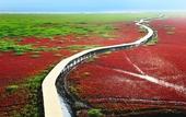 Туры в отель Holiday Inn PANJIN AQUA CITY by IHG