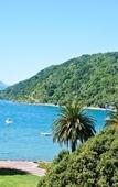Туры в отель Harbour View Motel