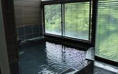 Туры в отель Hakone Nanase