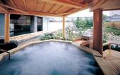 Туры в отель Shinshu Matsumoto Utsukushigahara Onsen Shoho