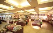Туры в отель Shinshu Matsumoto Utsukushigahara Onsen Shoho