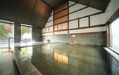 Туры в отель Shinshu Matsumoto Utsukushigahara Onsen Shoho