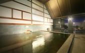 Туры в отель Shinshu Matsumoto Utsukushigahara Onsen Shoho