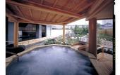 Туры в отель Shinshu Matsumoto Utsukushigahara Onsen Shoho