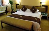 Туры в отель Vienna International Hotel (Shanghai Hongqiao Hub Qingpu Metro Station)