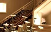 Туры в отель Astoria Vico Hotel