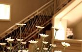 Туры в отель Astoria Vico Hotel