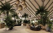 Туры в отель Holiday Island Resort & Spa