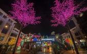 Туры в отель Wyndham Garden i-City Shah Alam