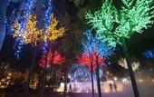 Туры в отель Wyndham Garden i-City Shah Alam