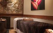 Туры в отель Holiday Villa Alor Setar