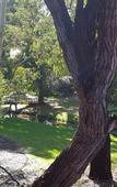 Туры в отель Wilsons Promontory Motel