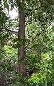 Туры в отель Wilsons Promontory Motel