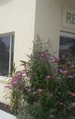 Туры в отель Wilsons Promontory Motel