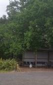 Туры в отель Wilsons Promontory Motel