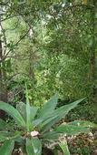 Туры в отель Wilsons Promontory Motel