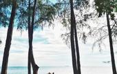Туры в отель Puteri Bay Hotel Melaka