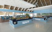Туры в отель Viva Dominicus Beach By Wyndham