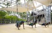 Туры в отель Viva Dominicus Beach By Wyndham