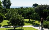 Туры в отель Zash Country Boutique Hotel