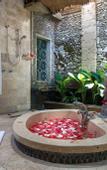 Туры в отель Pita Maha Ubud