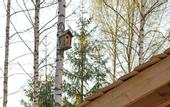 Туры в отель «Усадьба скульптора Эрьзи» коттеджный комплекс
