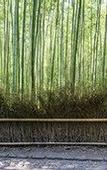 Туры в отель Suiran, A Luxury Collection Hotel, Kyoto