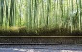 Туры в отель Suiran, A Luxury Collection Hotel, Kyoto