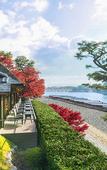 Туры в отель Suiran, A Luxury Collection Hotel, Kyoto