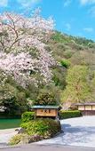 Туры в отель Suiran, A Luxury Collection Hotel, Kyoto