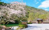 Туры в отель Suiran, A Luxury Collection Hotel, Kyoto