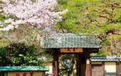 Туры в отель Suiran, A Luxury Collection Hotel, Kyoto
