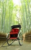 Туры в отель Suiran, A Luxury Collection Hotel, Kyoto
