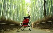 Туры в отель Suiran, A Luxury Collection Hotel, Kyoto