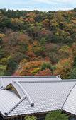 Туры в отель Suiran, A Luxury Collection Hotel, Kyoto
