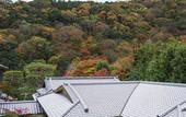 Туры в отель Suiran, A Luxury Collection Hotel, Kyoto