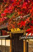 Туры в отель Suiran, A Luxury Collection Hotel, Kyoto