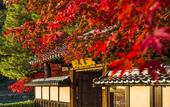 Туры в отель Suiran, A Luxury Collection Hotel, Kyoto