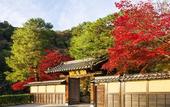 Туры в отель Suiran, A Luxury Collection Hotel, Kyoto