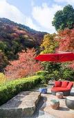 Туры в отель Suiran, A Luxury Collection Hotel, Kyoto