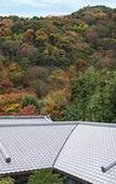 Туры в отель Suiran, A Luxury Collection Hotel, Kyoto