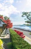 Туры в отель Suiran, A Luxury Collection Hotel, Kyoto