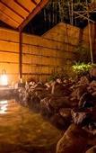 Туры в отель Suiran, A Luxury Collection Hotel, Kyoto