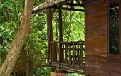 Туры в отель Khao Sok Riverside Cottage