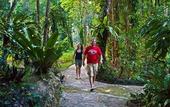 Туры в отель Khao Sok Riverside Cottage
