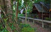 Туры в отель Khao Sok Riverside Cottage