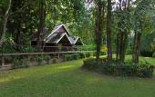 Туры в отель Khao Sok Riverside Cottage